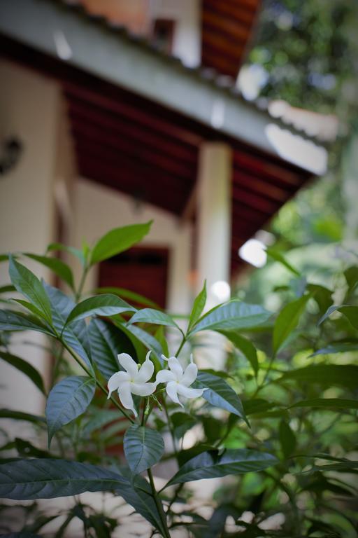 Binara Home Stay Полоннарува Экстерьер фото