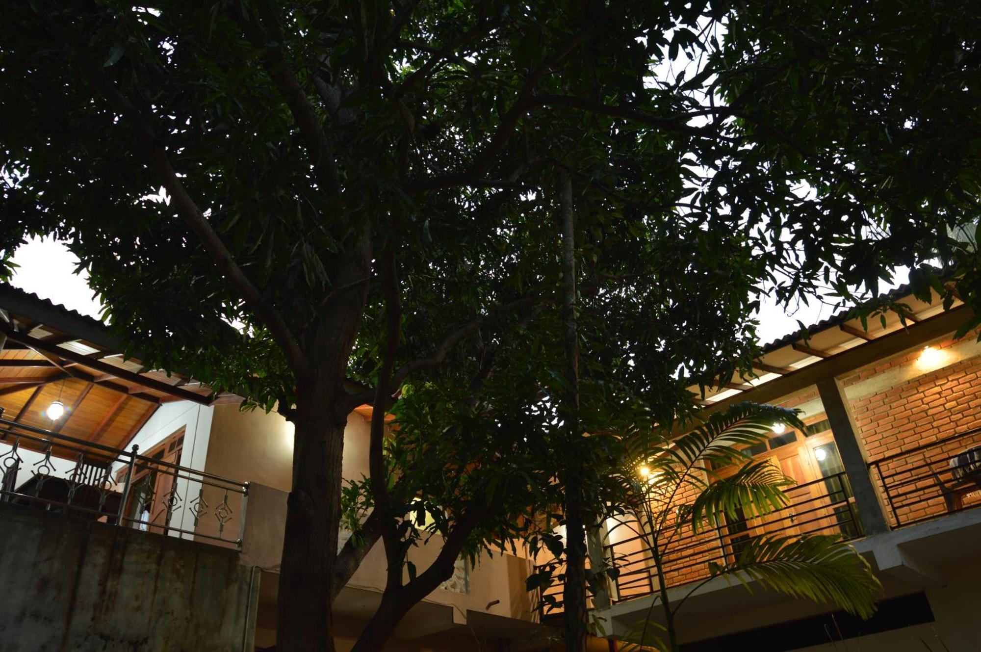 Binara Home Stay Полоннарува Экстерьер фото